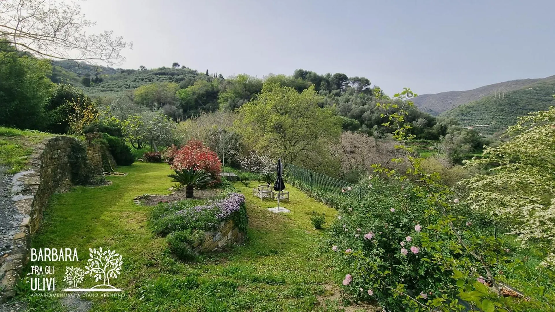 Holiday home Barbara Tra Gli Ulivi Villa Diano Arentino