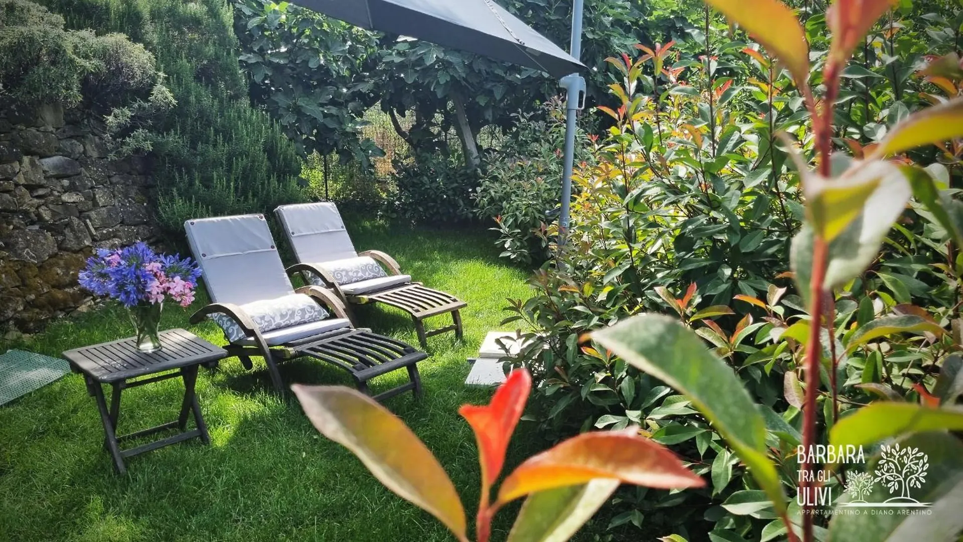 Barbara Tra Gli Ulivi Villa Diano Arentino Holiday home